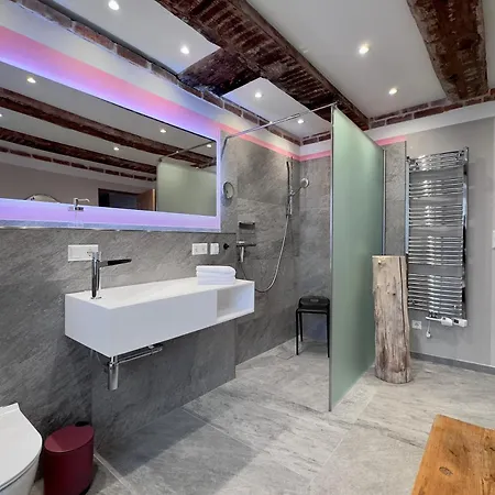 Schloss Rimsingen Fine Lejlighed Breisach