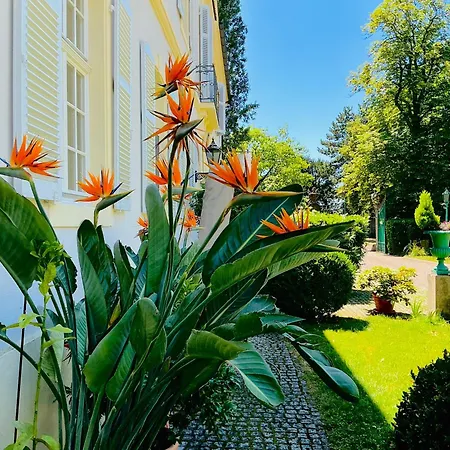 Schloss Rimsingen Fine