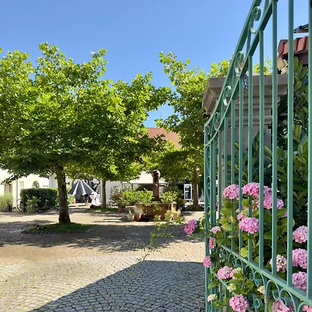 Schloss Rimsingen Fine בית נופש ברייסאך אם ריין