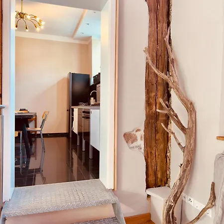 Schloss Rimsingen Fine