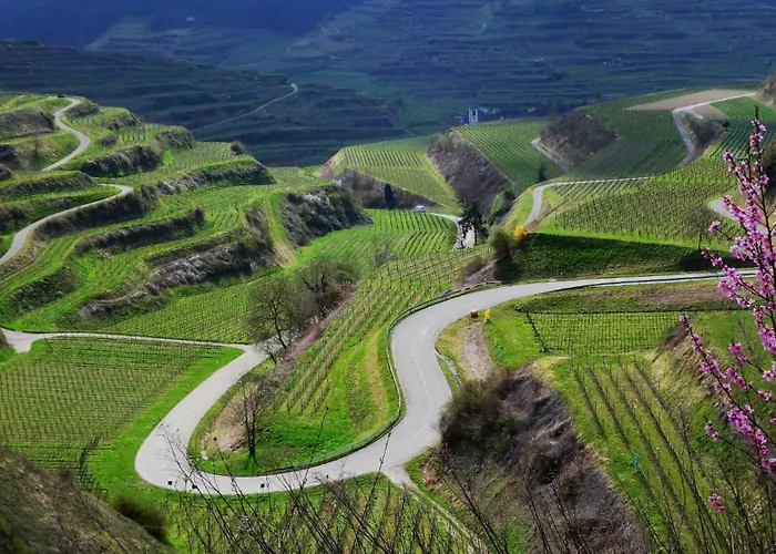 Schloss Rimsingen Fine Апартаменты