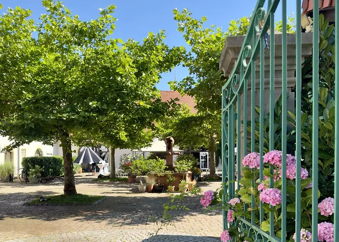 Schloss Rimsingen Fine Апартаменты Breisach